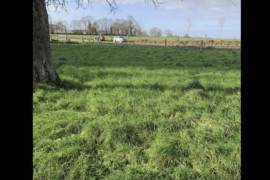 Country House to Renovate, Ideal Location