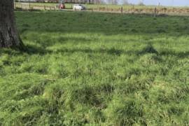Country House to Renovate, Ideal Location
