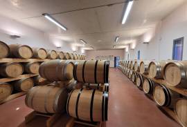 Winegrowing Estate And Wine Tourism Comple Winegrowing Estate And Wine Tourism Comple