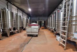 Winegrowing Estate And Wine Tourism Comple Winegrowing Estate And Wine Tourism Comple