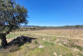 Winegrowing Estate And Wine Tourism Comple Winegrowing Estate And Wine Tourism Comple