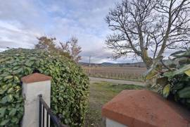 Superb Single Storey Detached Villa