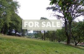 Detached Country House with Landscaped Garden