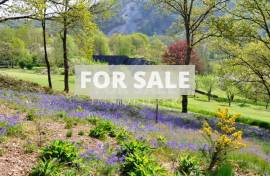 Detached Country House with Landscaped Garden