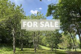 Detached Country House with Landscaped Garden