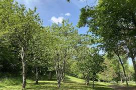 Detached Country House with Landscaped Garden