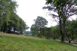 Detached Country House with Landscaped Garden