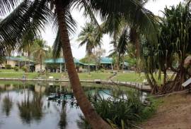 Fishing Lakes & Resort for Sale in Hua Hin - Established Business
