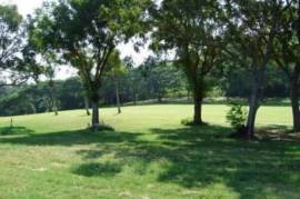 Golf Course Land