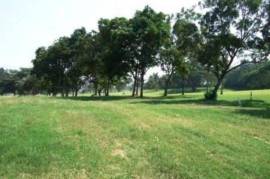 Golf Course Land