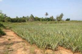 3.5 Rai Of Lovely Land, Nr Main Road With Great Views.