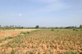 3.5 Rai Of Lovely Land, Nr Main Road With Great Views.