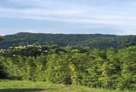 Nice Land Plot for Sale at Baan Ing Phu (830Sqm)