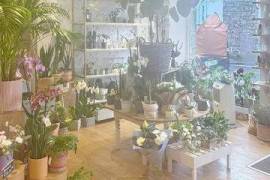 Rare à Rosoff ! Superbe fleuriste en centre ville, emplacement premium, clientèle fidèle. A découvrir sans tarder