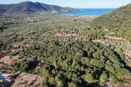 Agricultural 720 sq.m.