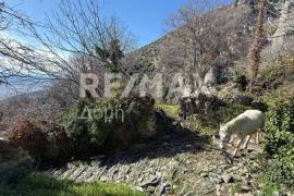 Plot 395 sq.m for sale Plot 395 sq.m for sale