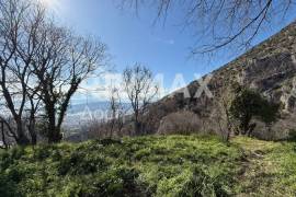 Plot 395 sq.m for sale Plot 395 sq.m for sale