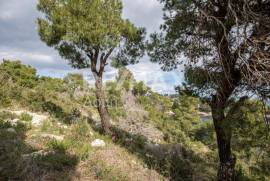 Agricultural 14386 sq.m for sale Agricultural 14386 sq.m for sale