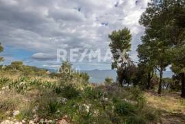 Agricultural 14386 sq.m for sale Agricultural 14386 sq.m for sale