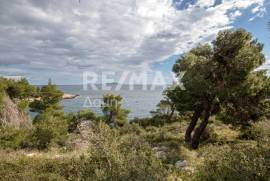 Agricultural 14386 sq.m for sale Agricultural 14386 sq.m for sale