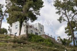 Agricultural 14386 sq.m for sale Agricultural 14386 sq.m for sale