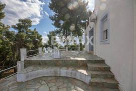 Agricultural 14386 sq.m for sale Agricultural 14386 sq.m for sale