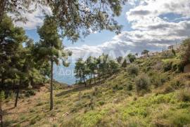 Agricultural 14386 sq.m for sale Agricultural 14386 sq.m for sale