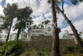 Agricultural 14386 sq.m for sale Agricultural 14386 sq.m for sale