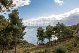 Agricultural 14386 sq.m for sale Agricultural 14386 sq.m for sale