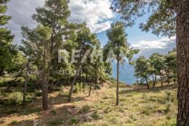 Agricultural 14386 sq.m for sale Agricultural 14386 sq.m for sale