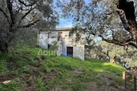 House 80 sq.m for sale House 80 sq.m for sale