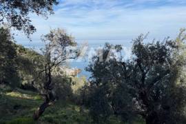 House 80 sq.m for sale House 80 sq.m for sale