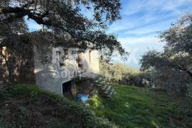 House 80 sq.m for sale House 80 sq.m for sale