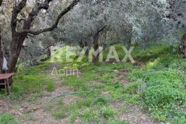 House 80 sq.m for sale House 80 sq.m for sale