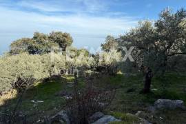 House 80 sq.m for sale House 80 sq.m for sale