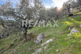 House 80 sq.m for sale House 80 sq.m for sale