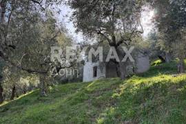 House 80 sq.m for sale House 80 sq.m for sale