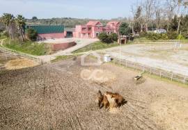 French neoclassical-inspired mansion with botanical garden by Jean Claude Forestier and 8.6-hectare estate in Elvas