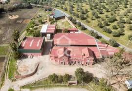 French neoclassical-inspired mansion with botanical garden by Jean Claude Forestier and 8.6-hectare estate in Elvas