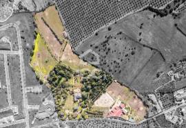 French neoclassical-inspired mansion with botanical garden by Jean Claude Forestier and 8.6-hectare estate in Elvas