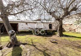 Villa Vidigueira Vila de Frades