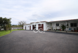 House T4 in Anobra