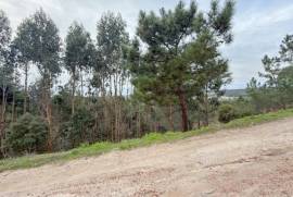 Terreno Rústico em Ramalhal a 10 minutos de Torres Vedras