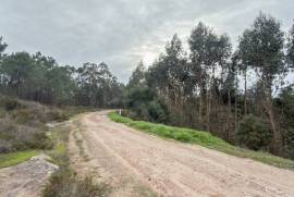 Terreno Rústico em Ramalhal a 10 minutos de Torres Vedras