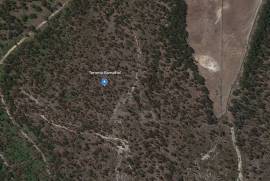 Terreno Rústico em Ramalhal a 10 minutos de Torres Vedras