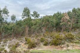 Terreno Rústico em Ramalhal a 10 minutos de Torres Vedras
