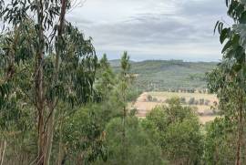 Terreno Rústico em Ramalhal a 10 minutos de Torres Vedras
