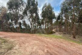 Terreno Rústico em Ramalhal a 10 minutos de Torres Vedras