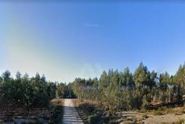 Terreno Rústico em Ramalhal a 10 minutos de Torres Vedras