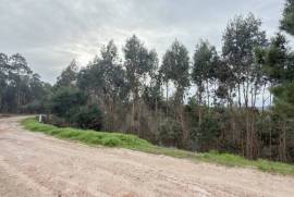 Terreno Rústico em Ramalhal a 10 minutos de Torres Vedras